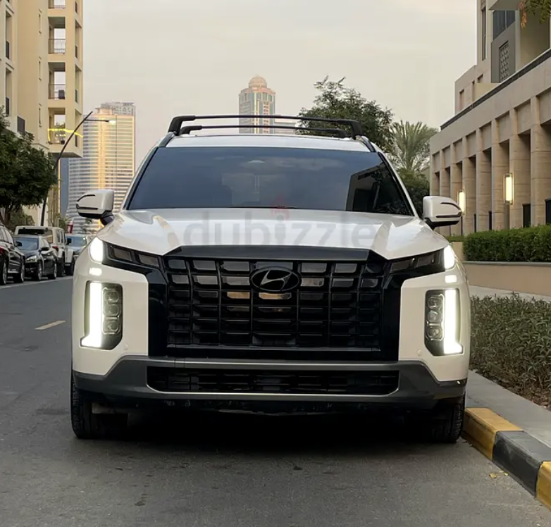 2023 Hyundai Palisade — 1/8